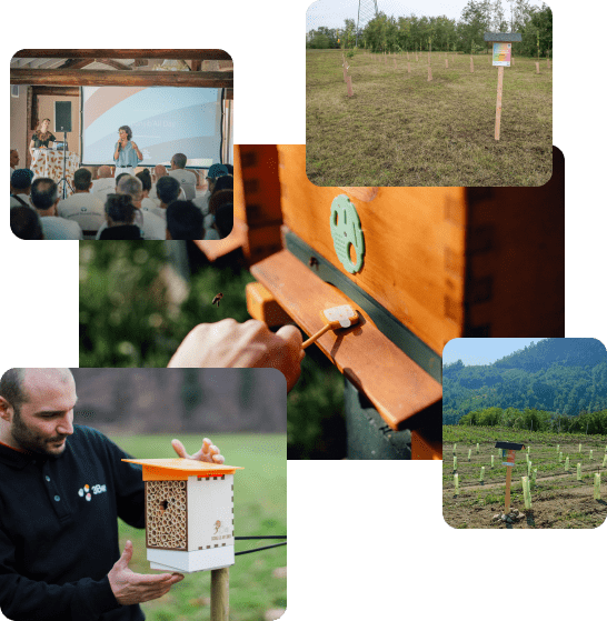 Implement environmental sustainability projects with 3Bee