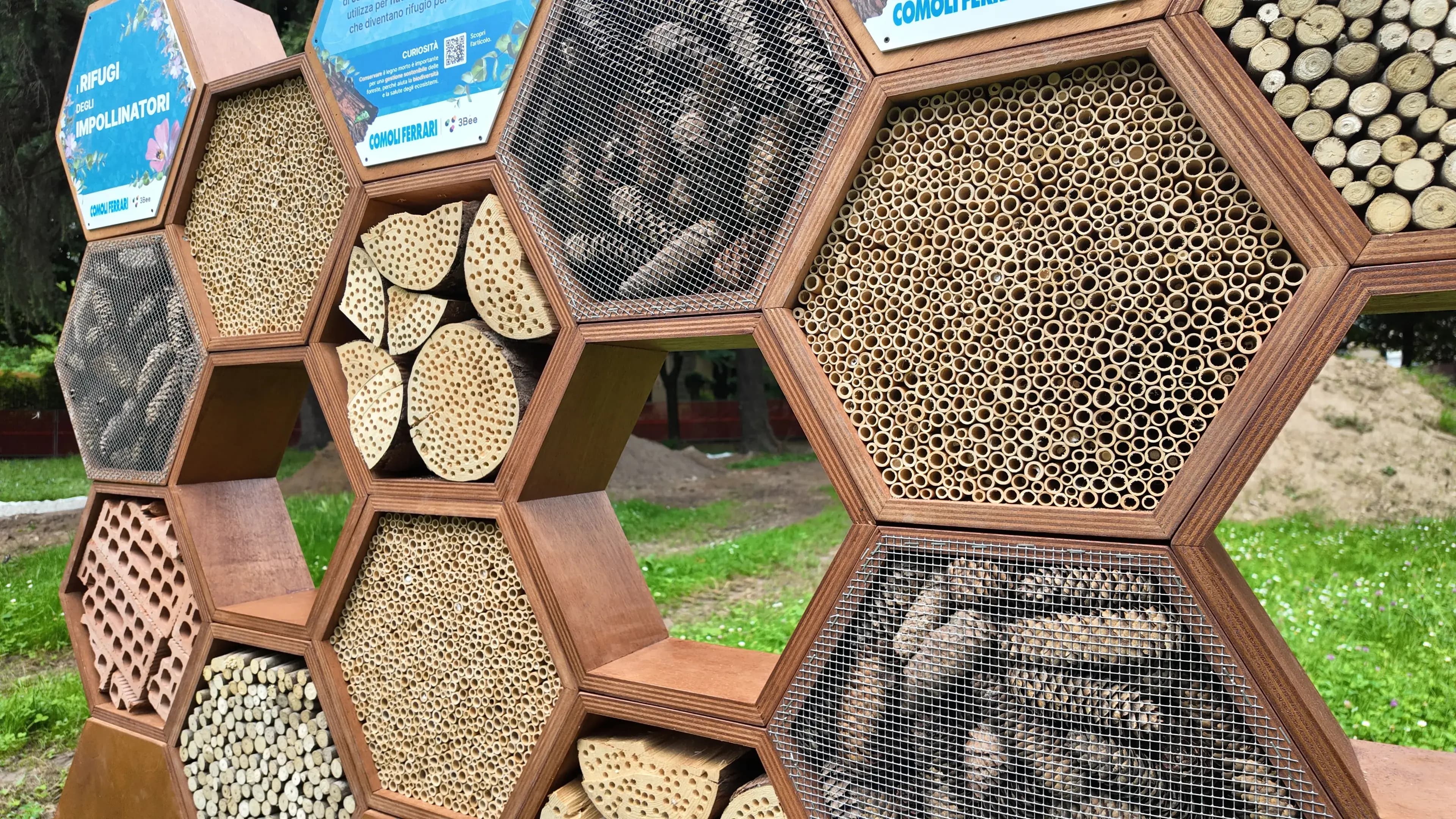 caseStudies.items.0.alt