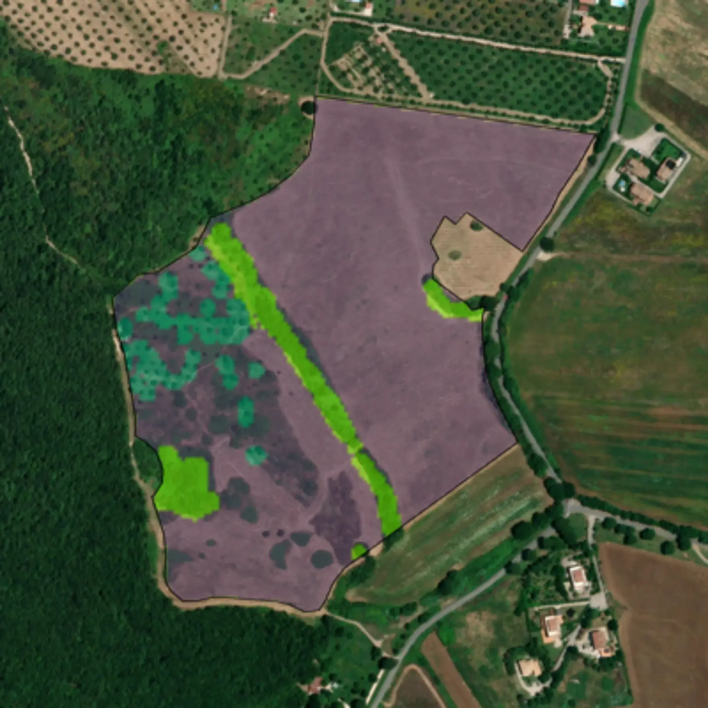 caseStudies.items.12.alt