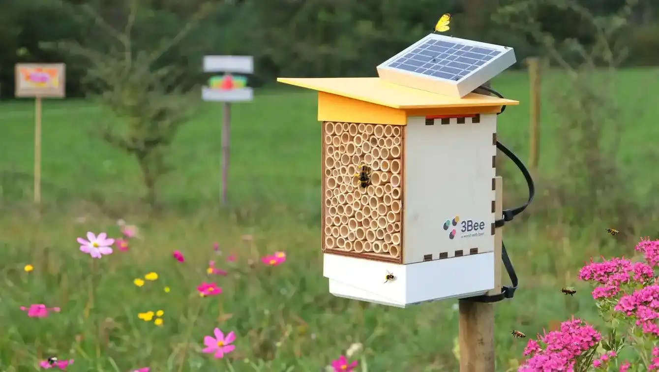 Polly-X with a solar panel on top. Bees and butterflies are flying around it.