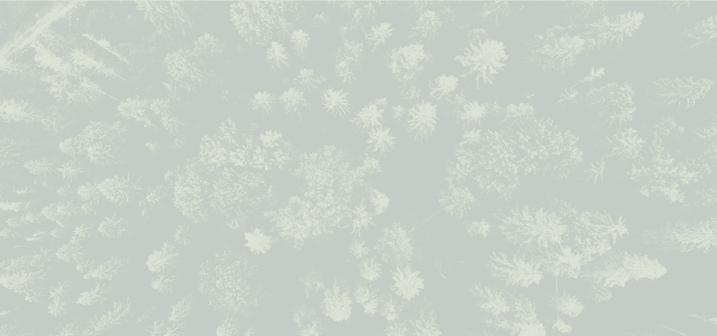 Perché creare un’Oasi?