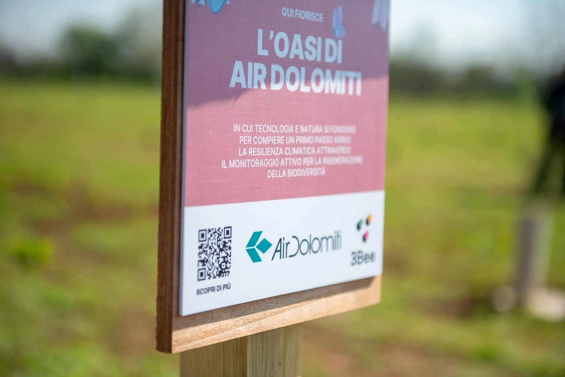 caseStudies.items.13.alt