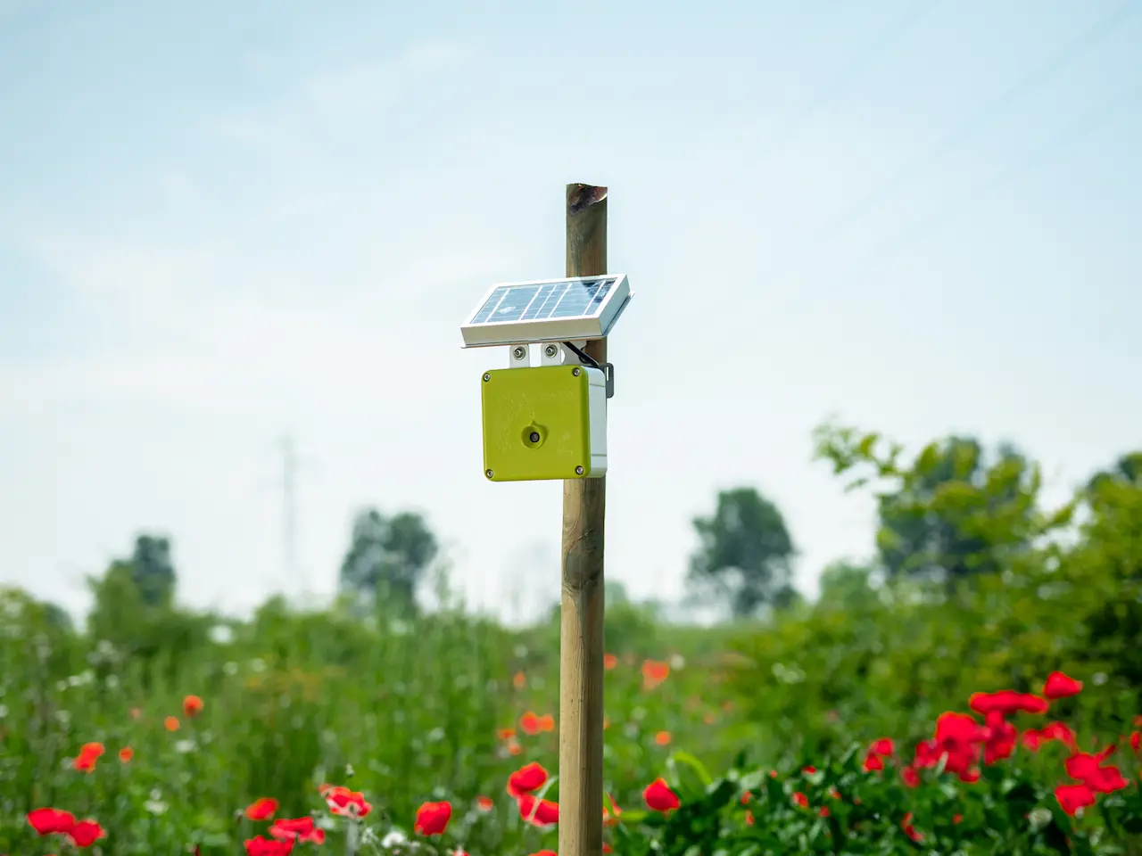 Tecnología para el monitoreo de avifauna en las Oasi 3Bee Dispositivo acústico para el monitoreo de avifauna instalado en un árbol en una Oasi 3Bee