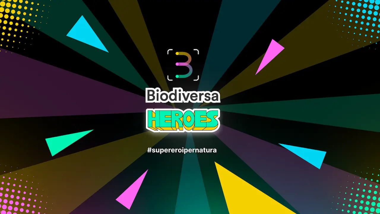 contest biodiversa